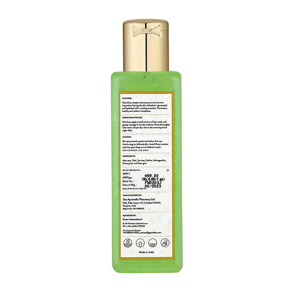 Aloe Mint Face Wash